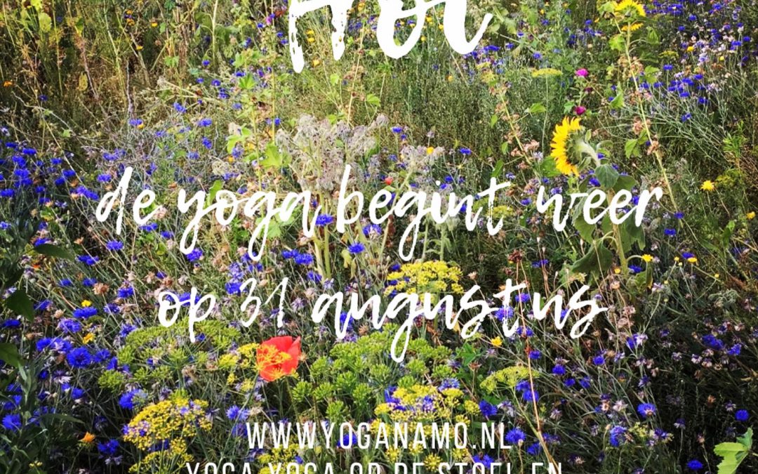 Hoi de yoga begint weer